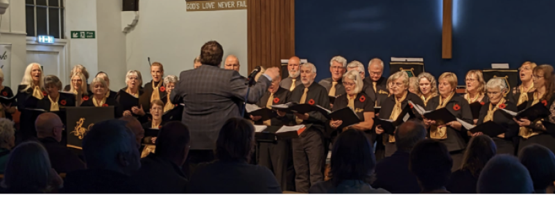 Song and Dance at Scarr Bandstand (2-5pm)