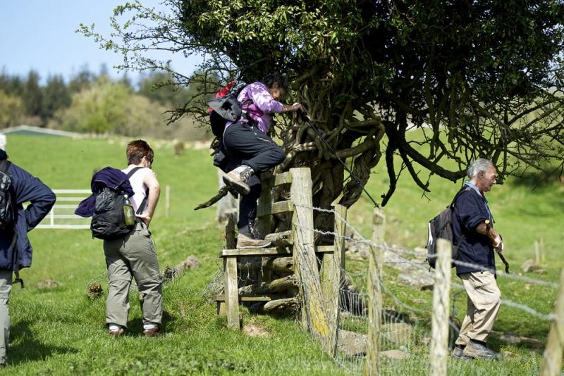 Coleford Area Walking Festival (10th - 18th May)